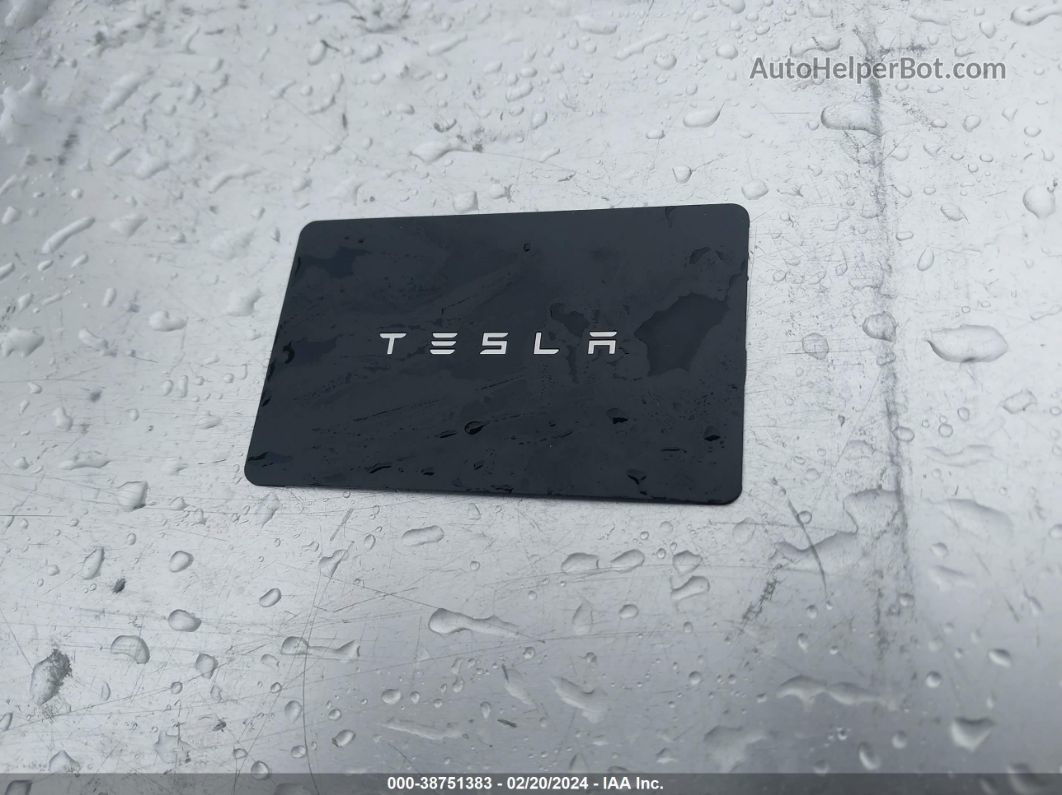 2020 Tesla Model 3 Standard Range Plus Rear-wheel Drive/standard Range Rear-wheel Drive Gray vin: 5YJ3E1EA3LF634804