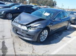 2020 Tesla Model 3 Standard Range Plus Rear-wheel Drive/standard Range Rear-wheel Drive Gray vin: 5YJ3E1EA3LF806135