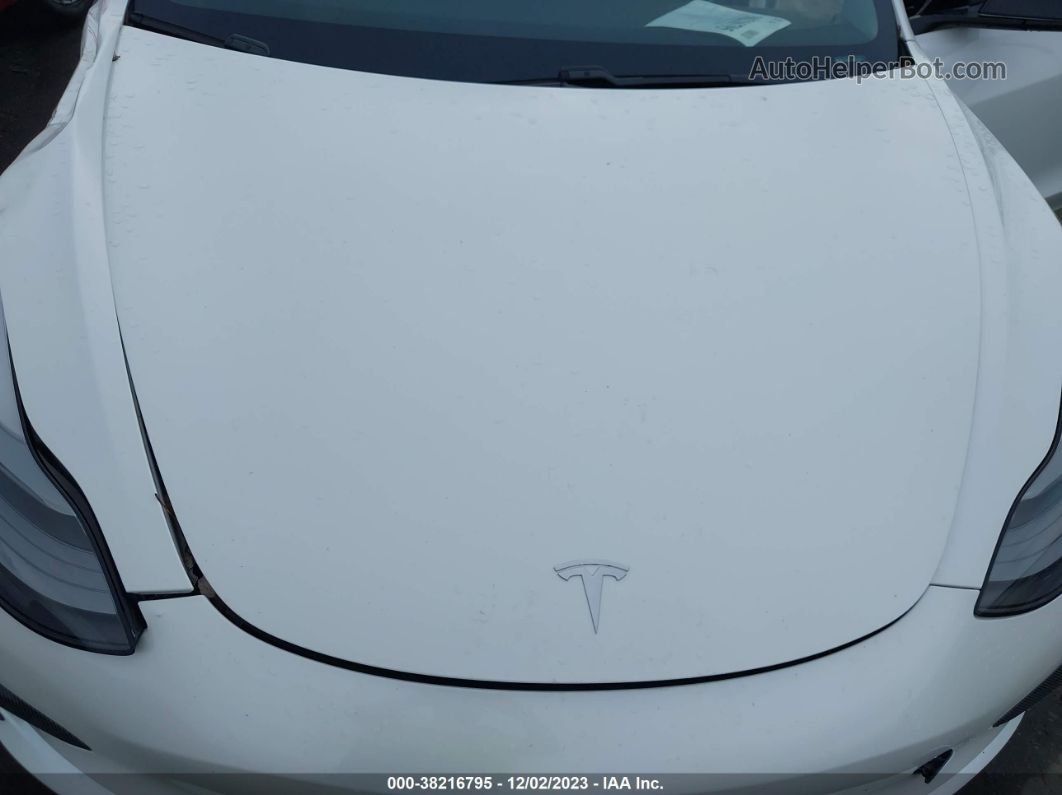 2021 Tesla Model 3 Standard Range Plus Rear-wheel Drive White vin: 5YJ3E1EA3MF031062