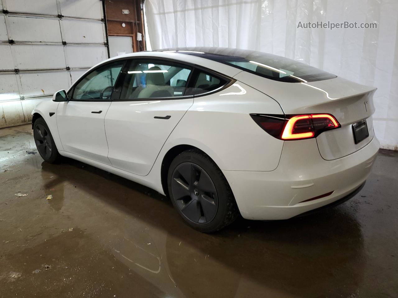 2021 Tesla Model 3  White vin: 5YJ3E1EA3MF048301