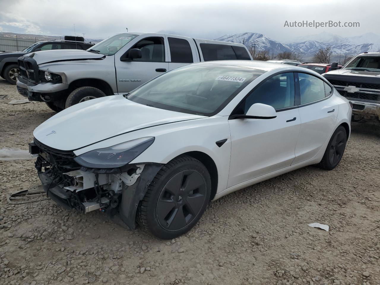 2021 Tesla Model 3  White vin: 5YJ3E1EA3MF871715