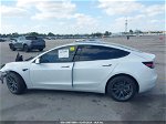 2021 Tesla Model 3 Standard Range Plus Rear-wheel Drive White vin: 5YJ3E1EA3MF922842