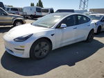 2021 Tesla Model 3  White vin: 5YJ3E1EA3MF996603