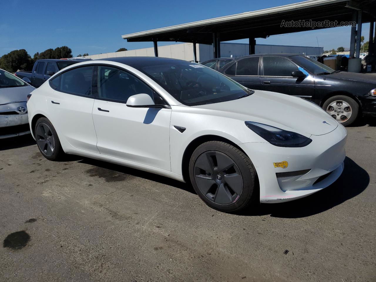 2021 Tesla Model 3  Белый vin: 5YJ3E1EA3MF996603