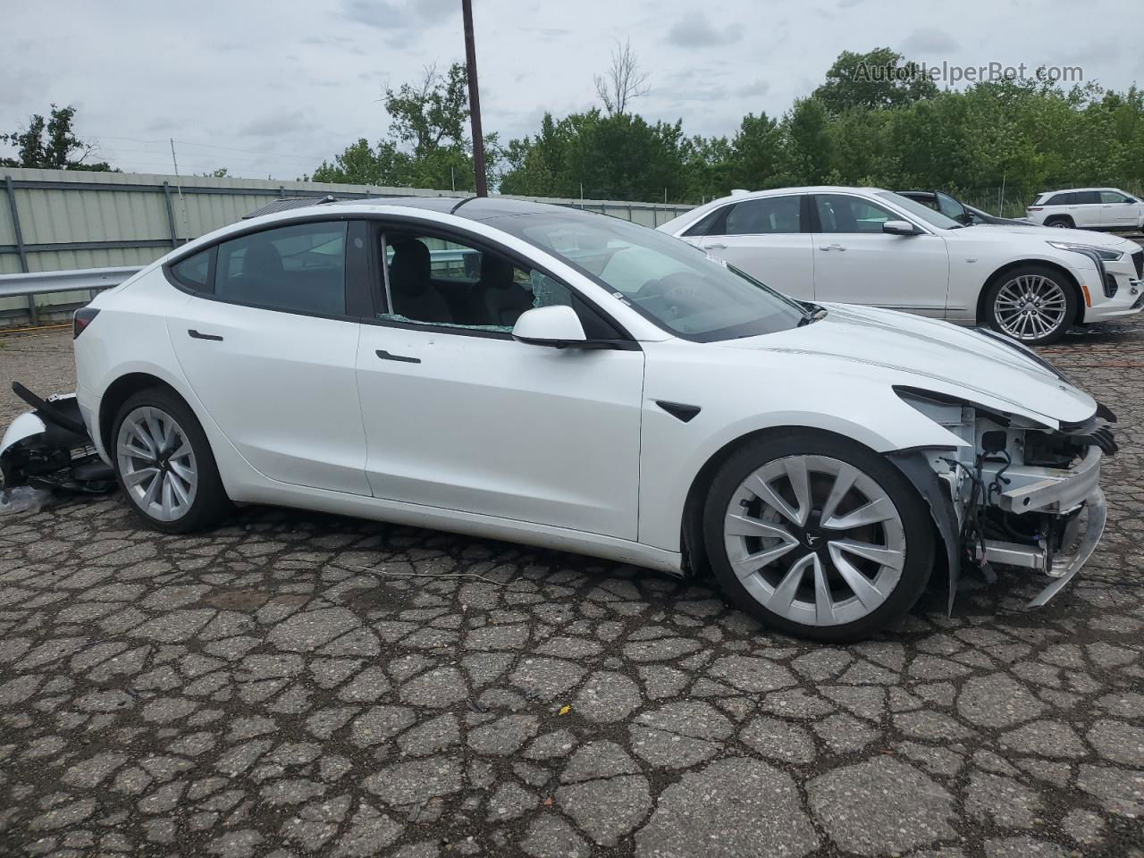 2022 Tesla Model 3  White vin: 5YJ3E1EA3NF303823