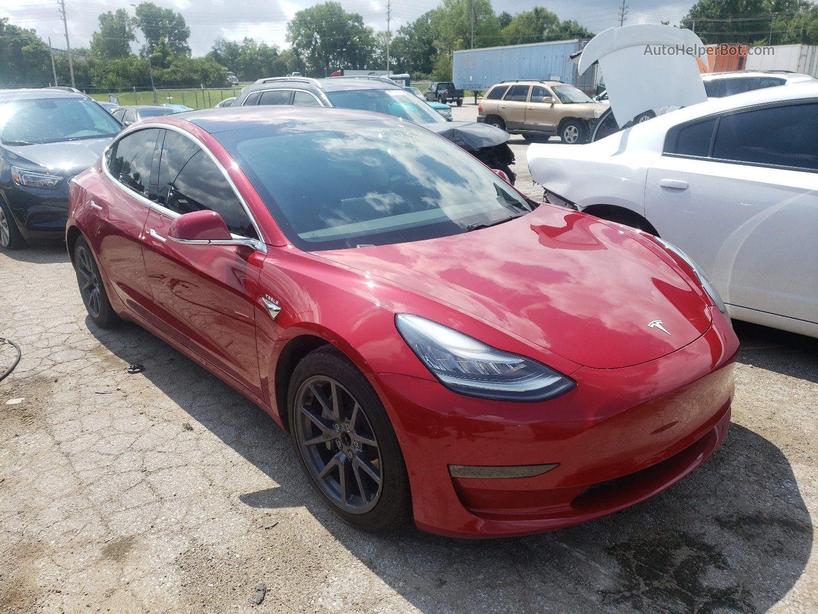 2019 Tesla Model 3 Red vin: 5YJ3E1EA4KF190721
