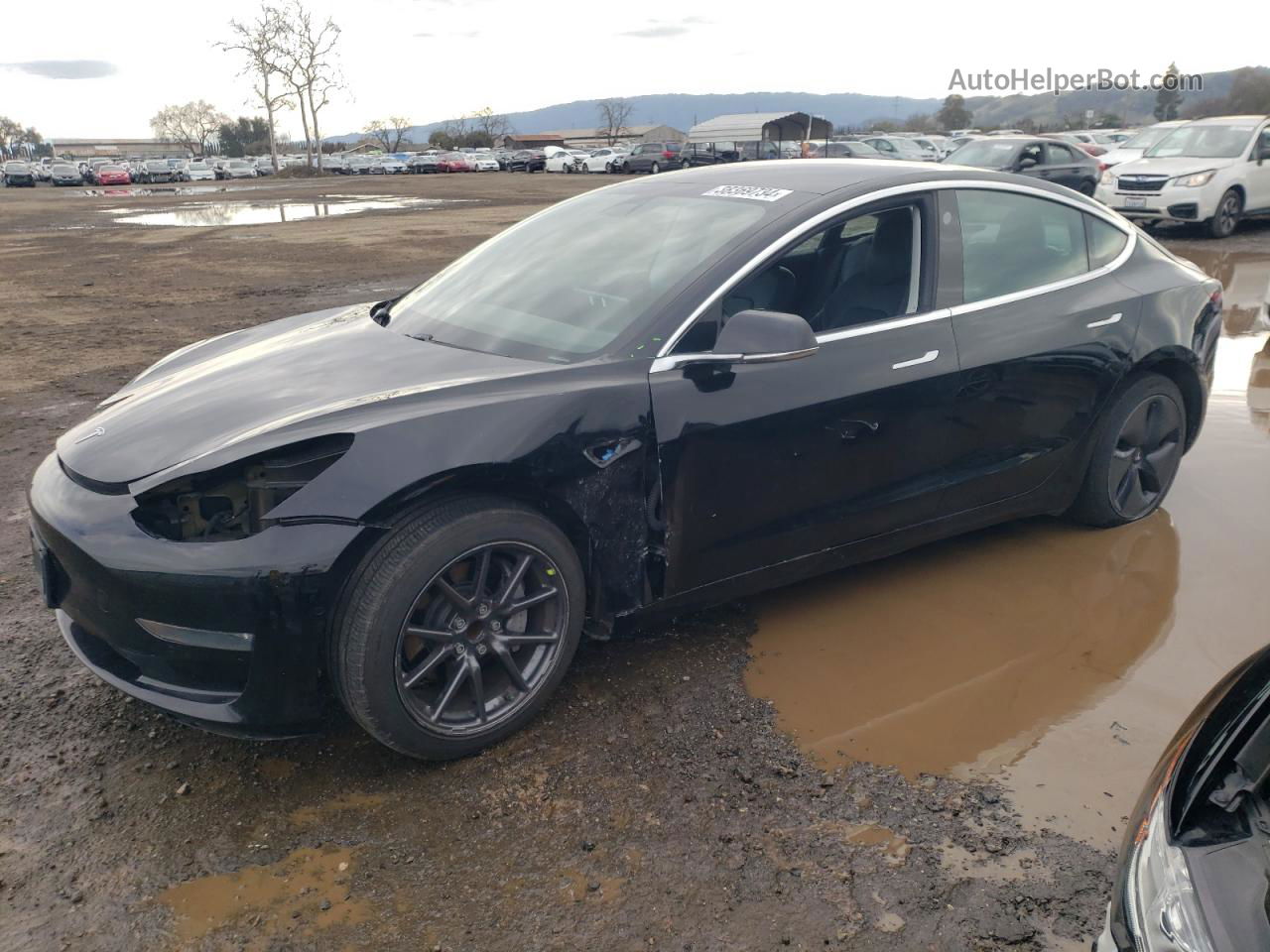 2019 Tesla Model 3  Black vin: 5YJ3E1EA4KF395522