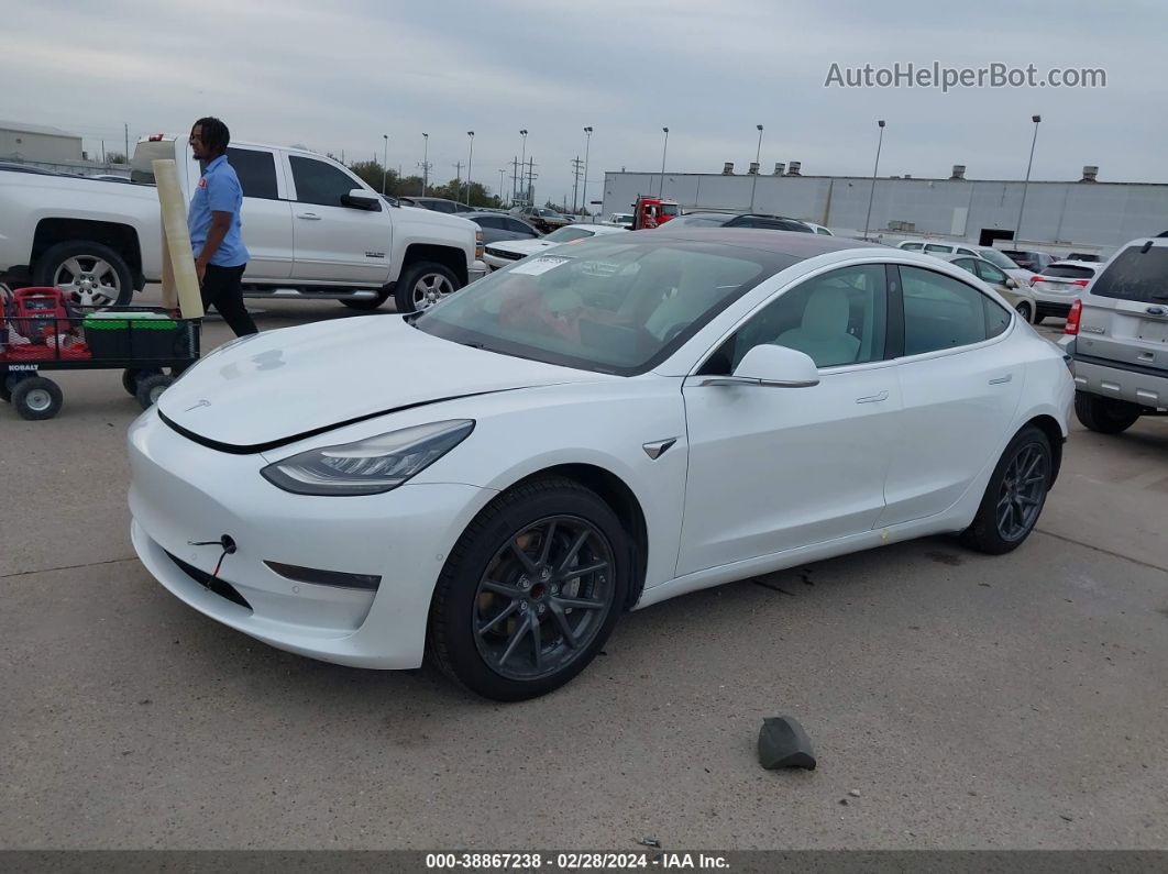 2019 Tesla Model 3 Long Range/mid Range/standard Range/standard Range Plus White vin: 5YJ3E1EA4KF402923