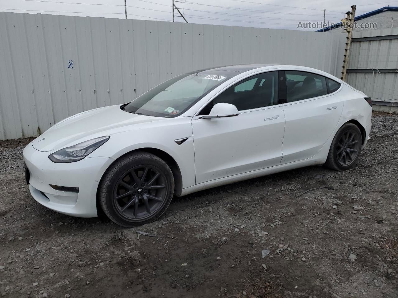 2019 Tesla Model 3  White vin: 5YJ3E1EA4KF416658