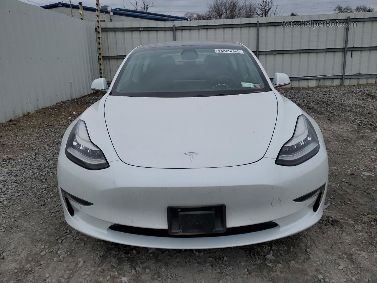 2019 Tesla Model 3  White vin: 5YJ3E1EA4KF416658