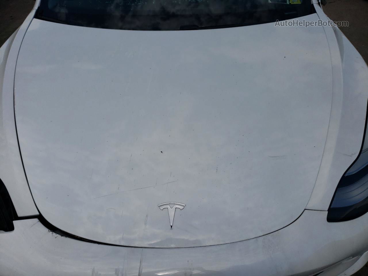 2019 Tesla Model 3  White vin: 5YJ3E1EA4KF484006