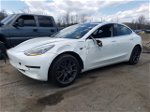 2019 Tesla Model 3  Белый vin: 5YJ3E1EA4KF484006