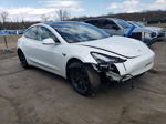 2019 Tesla Model 3  White vin: 5YJ3E1EA4KF484006