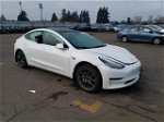 2020 Tesla Model 3  Белый vin: 5YJ3E1EA4LF805785