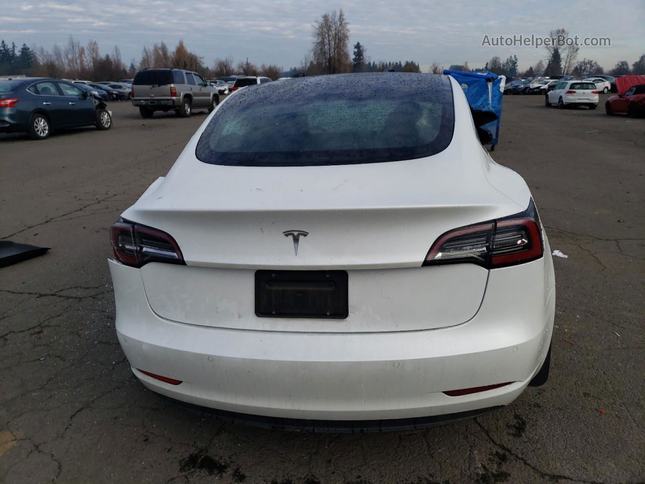 2020 Tesla Model 3  White vin: 5YJ3E1EA4LF805785