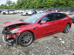 2021 Tesla Model 3  Red vin: 5YJ3E1EA4MF042992