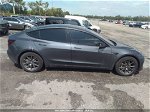 2021 Tesla Model 3 Standard Range Plus Gray vin: 5YJ3E1EA4MF046430