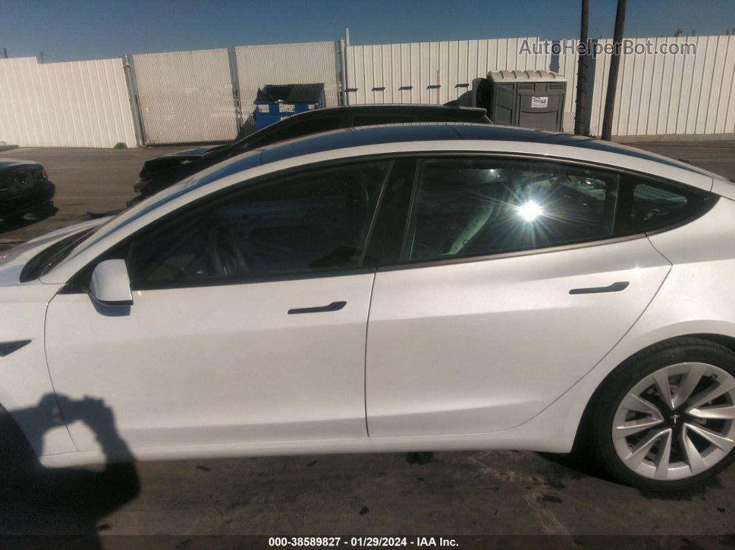 2021 Tesla Model 3 Standard Range Plus Rear-wheel Drive White vin: 5YJ3E1EA4MF838514