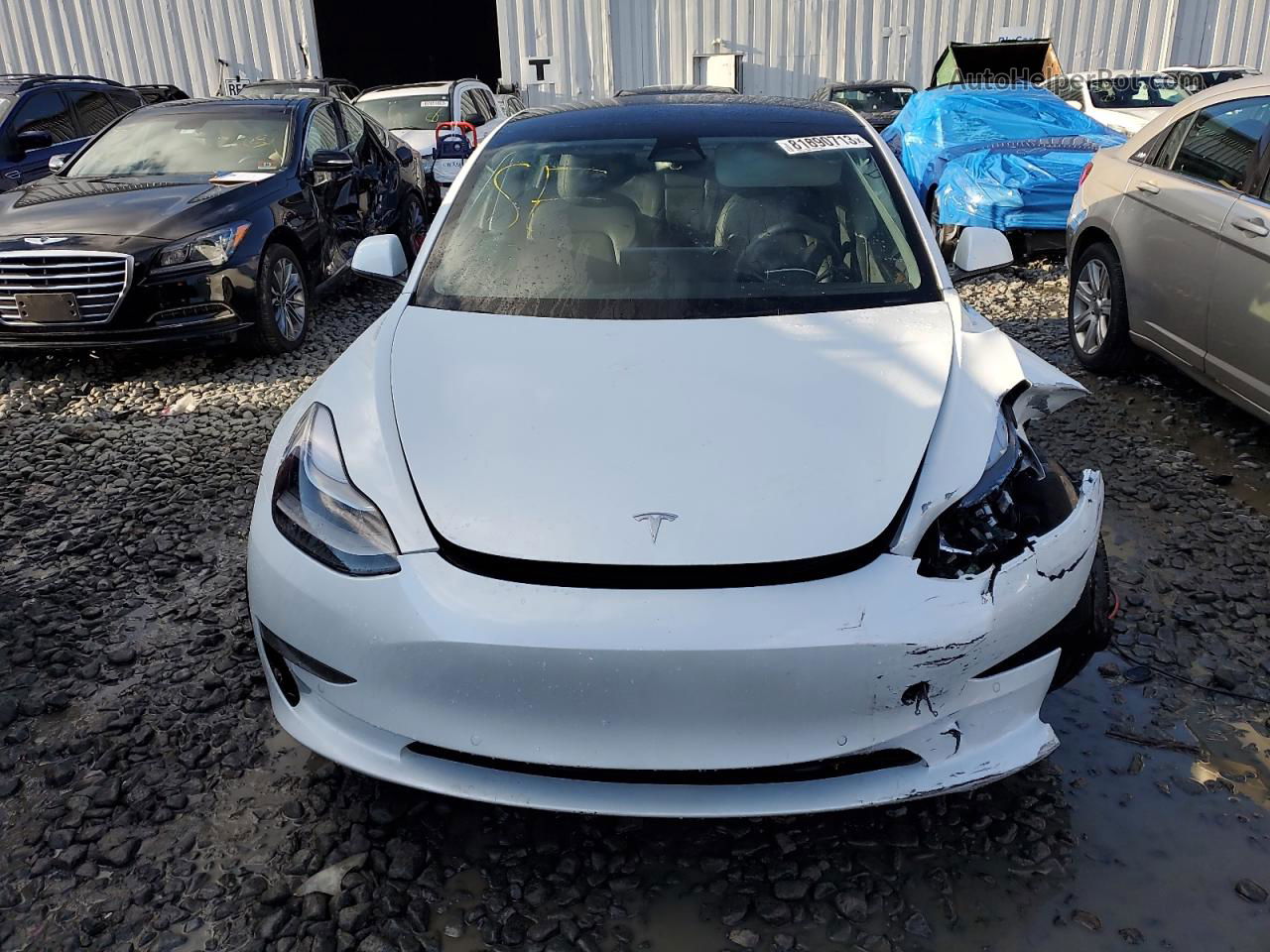 2022 Tesla Model 3  White vin: 5YJ3E1EA4NF333137