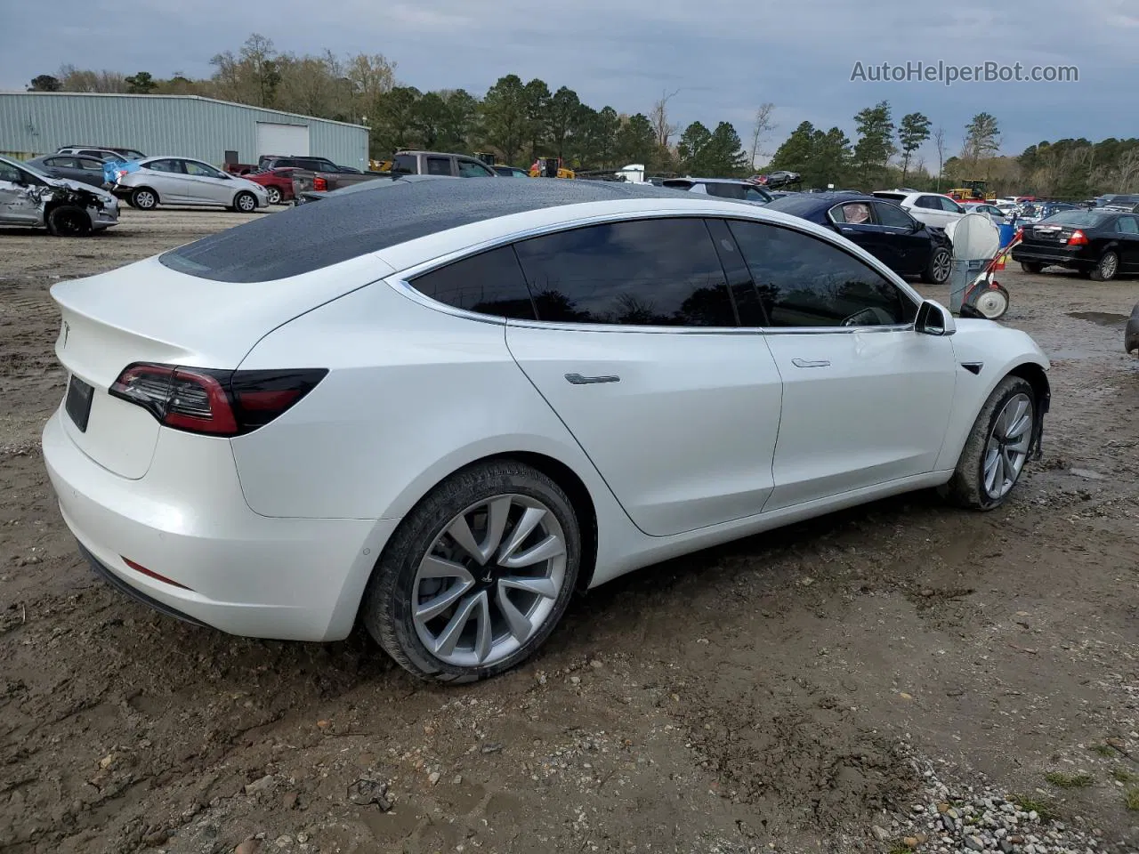 2019 Tesla Model 3  White vin: 5YJ3E1EA5KF301387