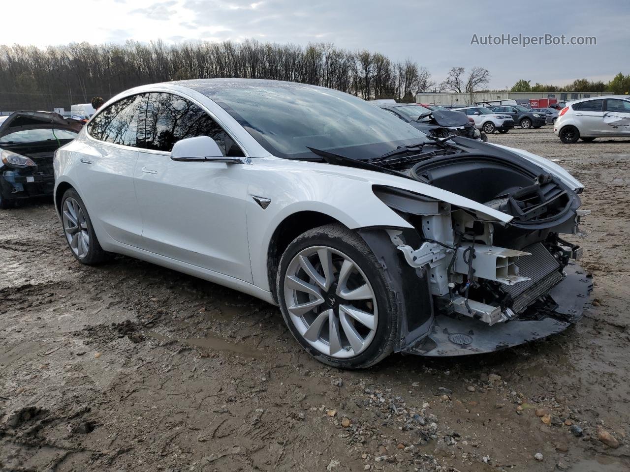 2019 Tesla Model 3  Белый vin: 5YJ3E1EA5KF301387
