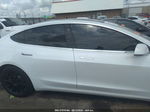 2019 Tesla Model 3 Mid Range/standard Range/standard Range Plus/long Range White vin: 5YJ3E1EA5KF309957