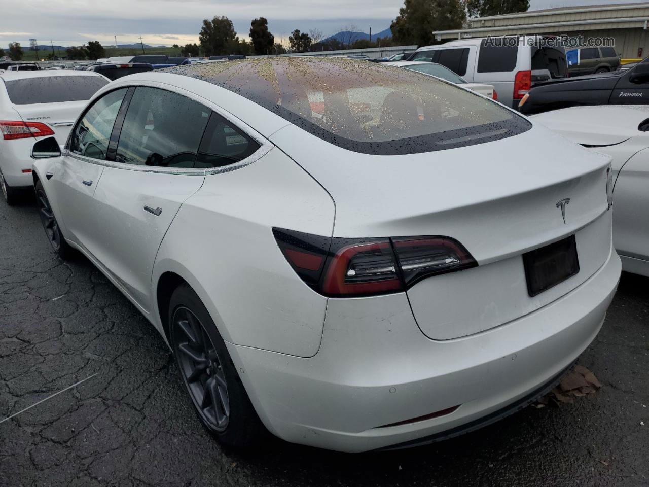 2019 Tesla Model 3  White vin: 5YJ3E1EA5KF326600