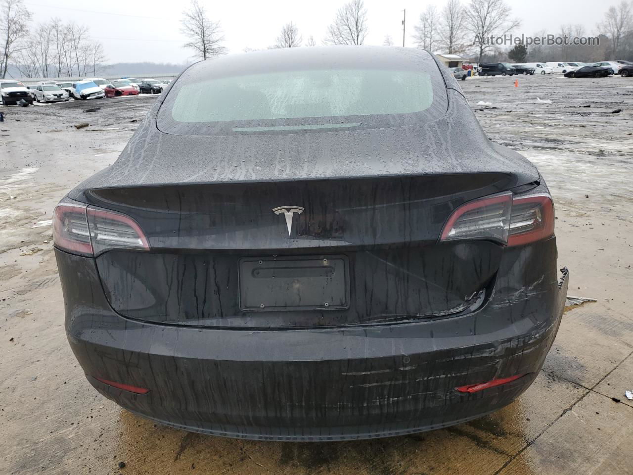 2019 Tesla Model 3  Black vin: 5YJ3E1EA5KF395917