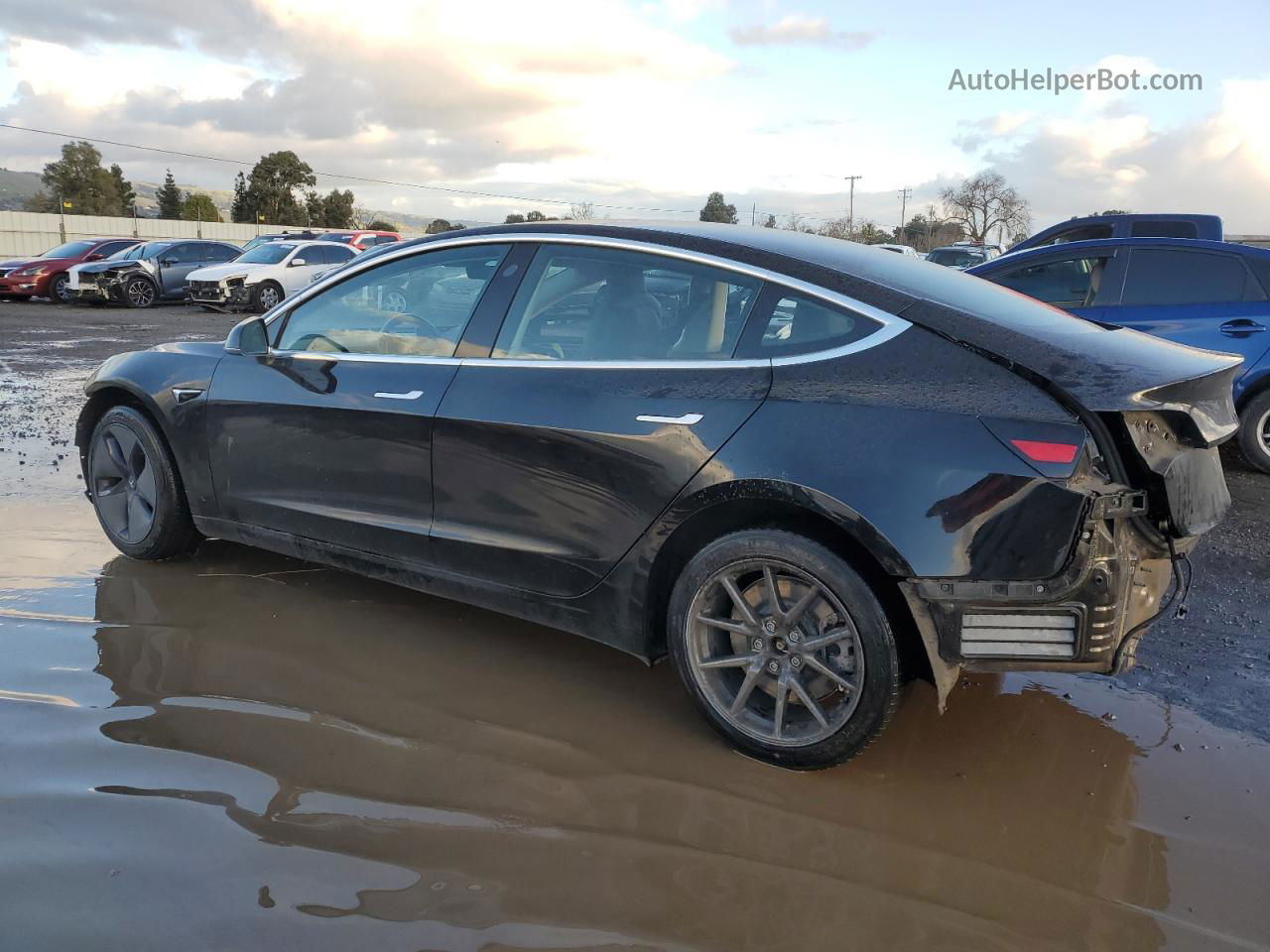 2019 Tesla Model 3  Черный vin: 5YJ3E1EA5KF397909