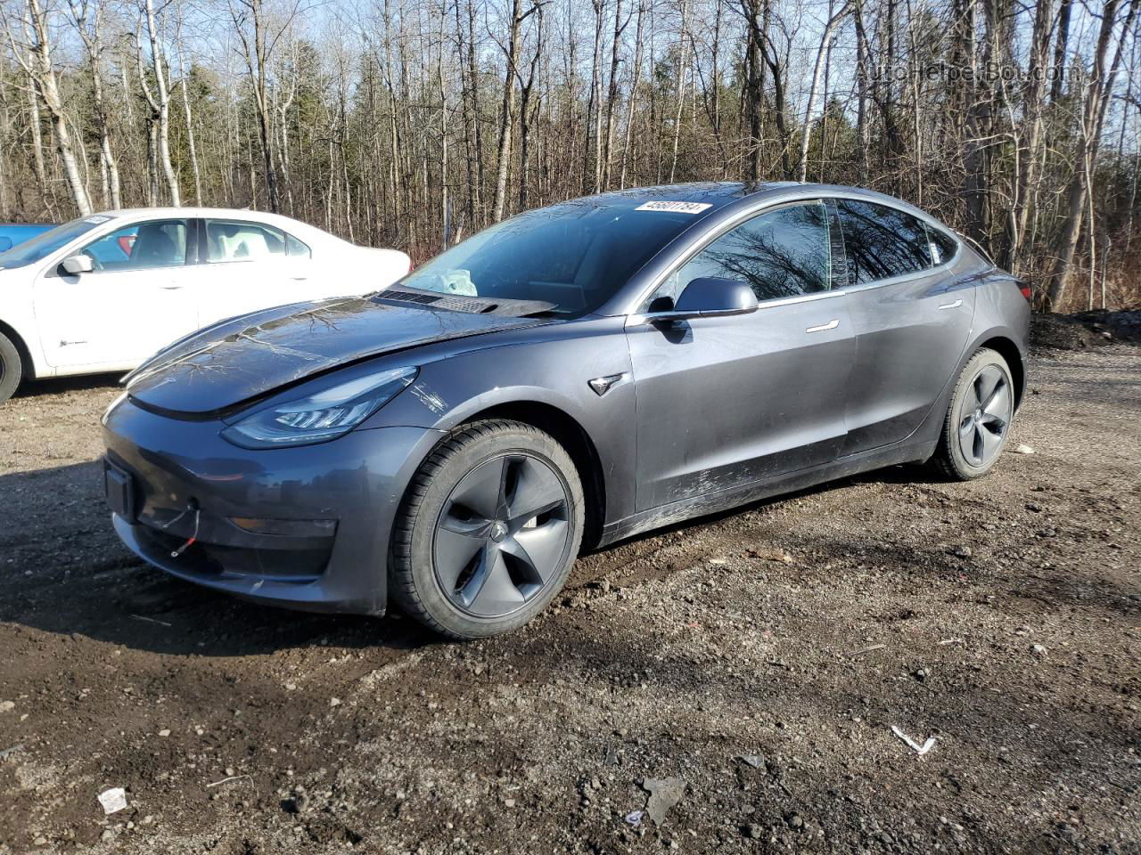 2019 Tesla Model 3  Blue vin: 5YJ3E1EA5KF414241