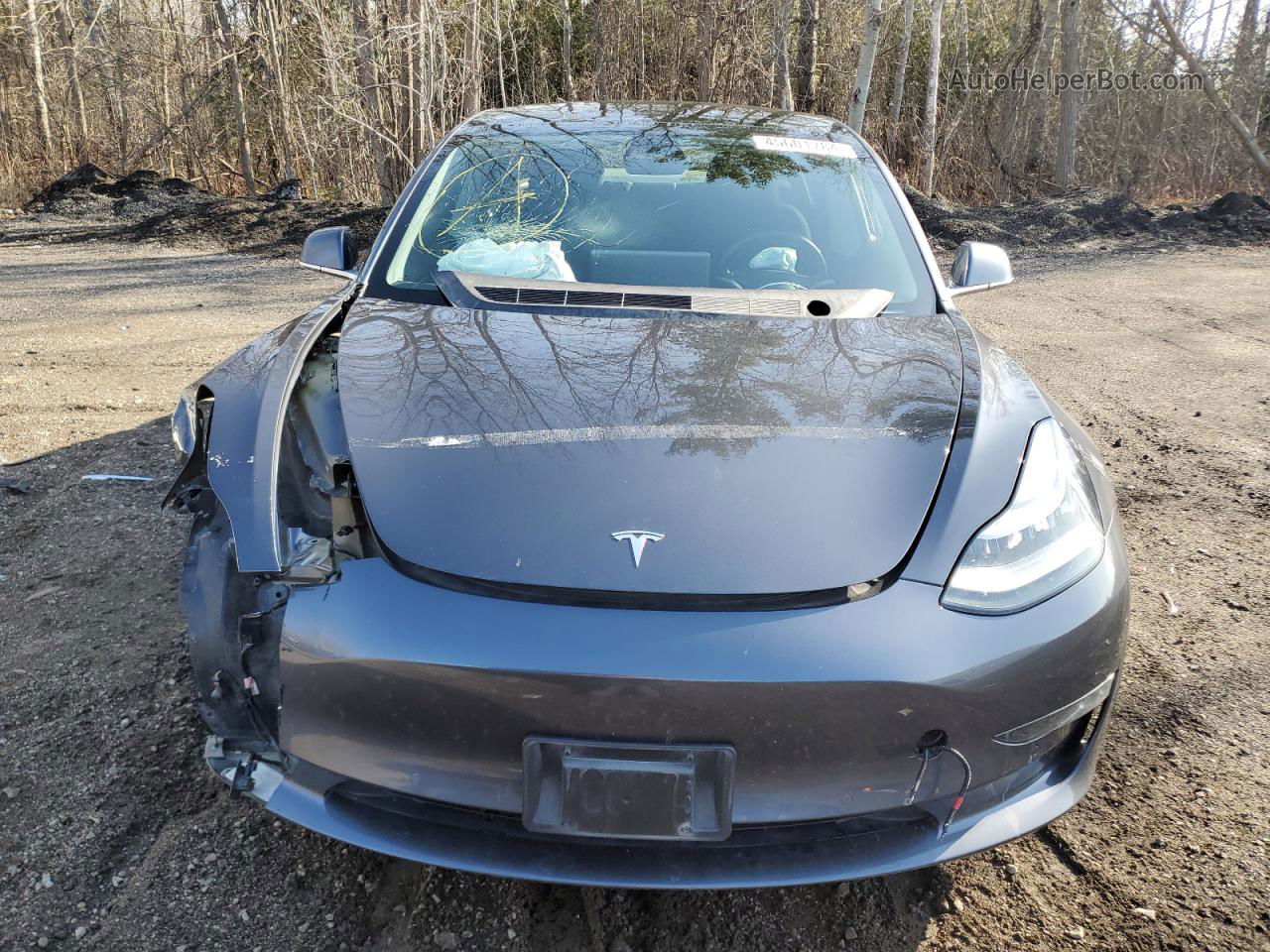 2019 Tesla Model 3  Blue vin: 5YJ3E1EA5KF414241