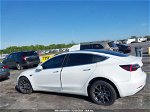2019 Tesla Model 3 Long Range/mid Range/standard Range/standard Range Plus White vin: 5YJ3E1EA5KF483849