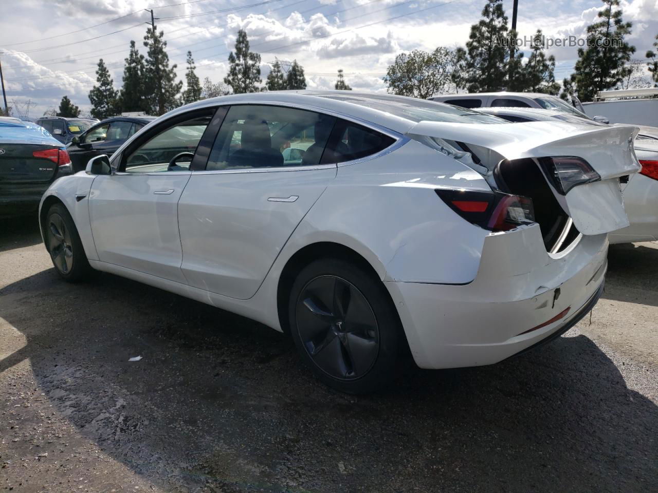 2020 Tesla Model 3  White vin: 5YJ3E1EA5LF504894