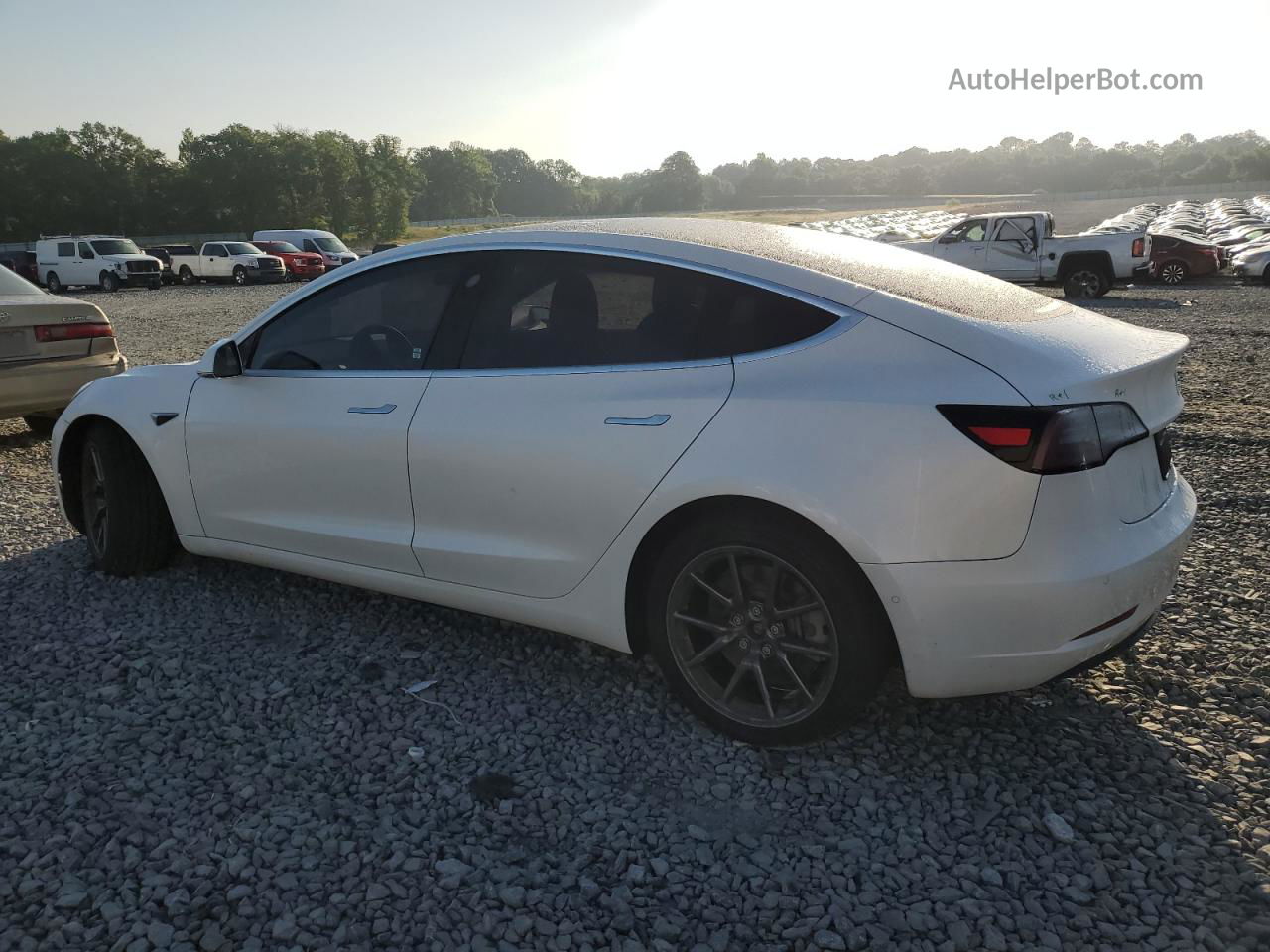 2020 Tesla Model 3  Белый vin: 5YJ3E1EA5LF612643