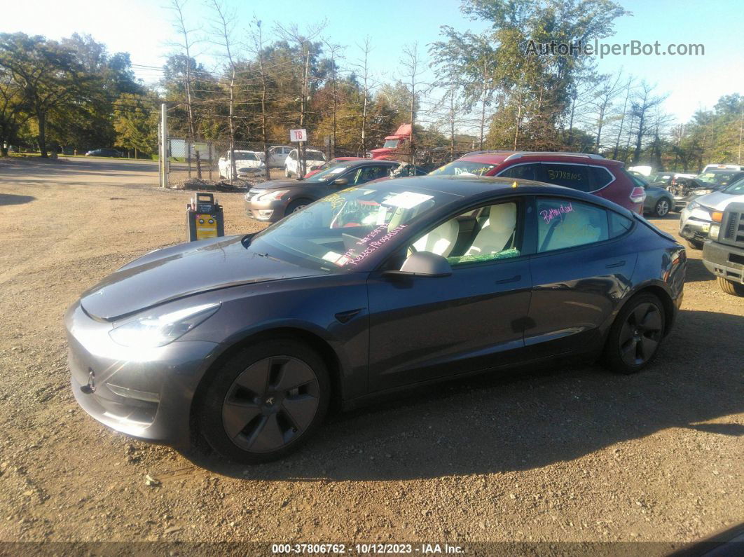 2021 Tesla Model 3 Standard Range Plus Rear-wheel Drive Gray vin: 5YJ3E1EA5MF019009