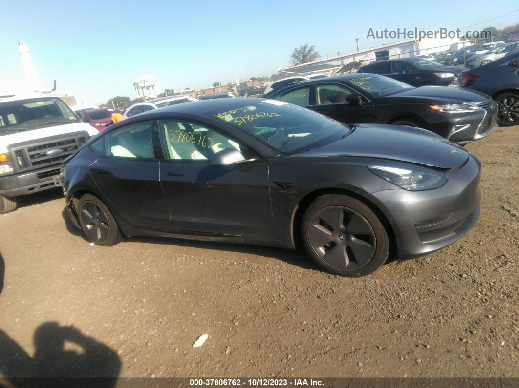 2021 Tesla Model 3 Standard Range Plus Rear-wheel Drive Gray vin: 5YJ3E1EA5MF019009