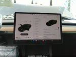 2021 Tesla Model 3 Standard Range Plus Gray vin: 5YJ3E1EA5MF061504