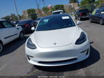 2021 Tesla Model 3 Standard Range Plus Rear-wheel Drive White vin: 5YJ3E1EA5MF940369