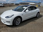 2019 Tesla Model 3  Белый vin: 5YJ3E1EA6KF407654