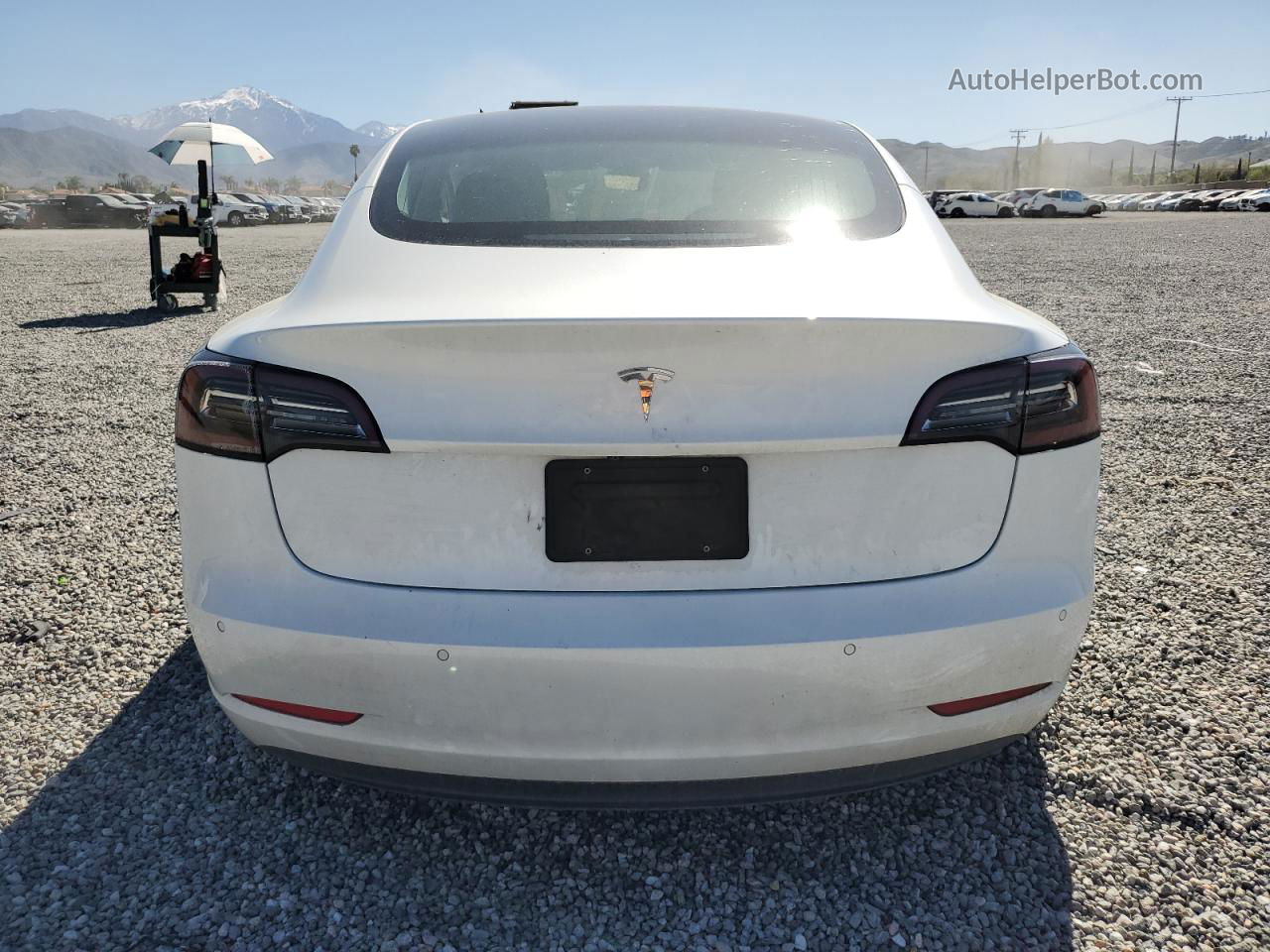 2019 Tesla Model 3  White vin: 5YJ3E1EA6KF483388