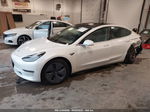 2020 Tesla Model 3 Standard Range Plus Rear-wheel Drive/standard Range Rear-wheel Drive Белый vin: 5YJ3E1EA6LF746979