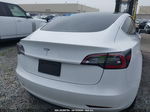 2020 Tesla Model 3 Standard Range Plus Rear-wheel Drive/standard Range Rear-wheel Drive Белый vin: 5YJ3E1EA6LF747436