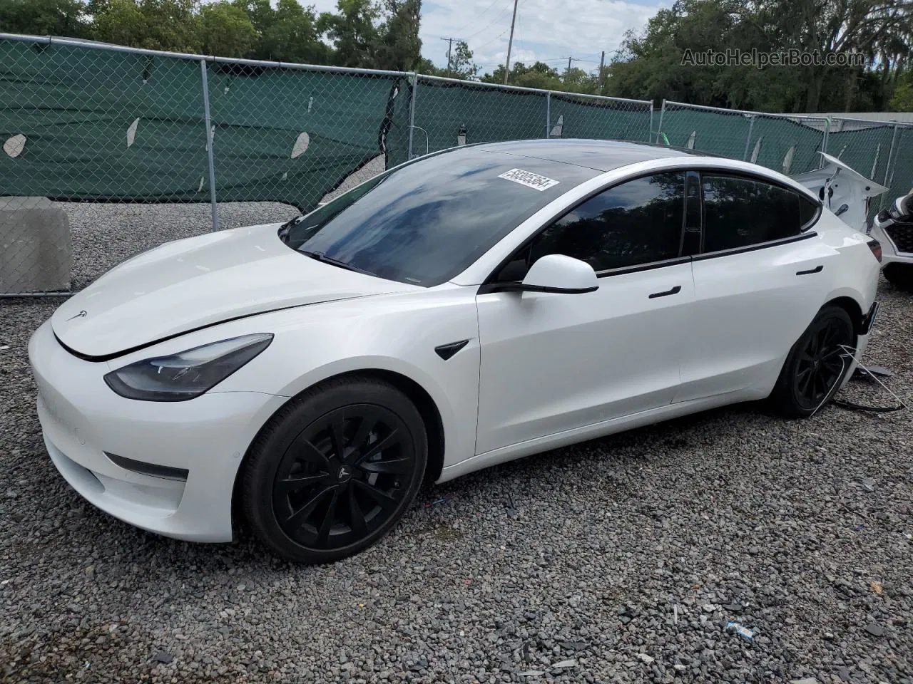 2021 Tesla Model 3  White vin: 5YJ3E1EA6MF019097