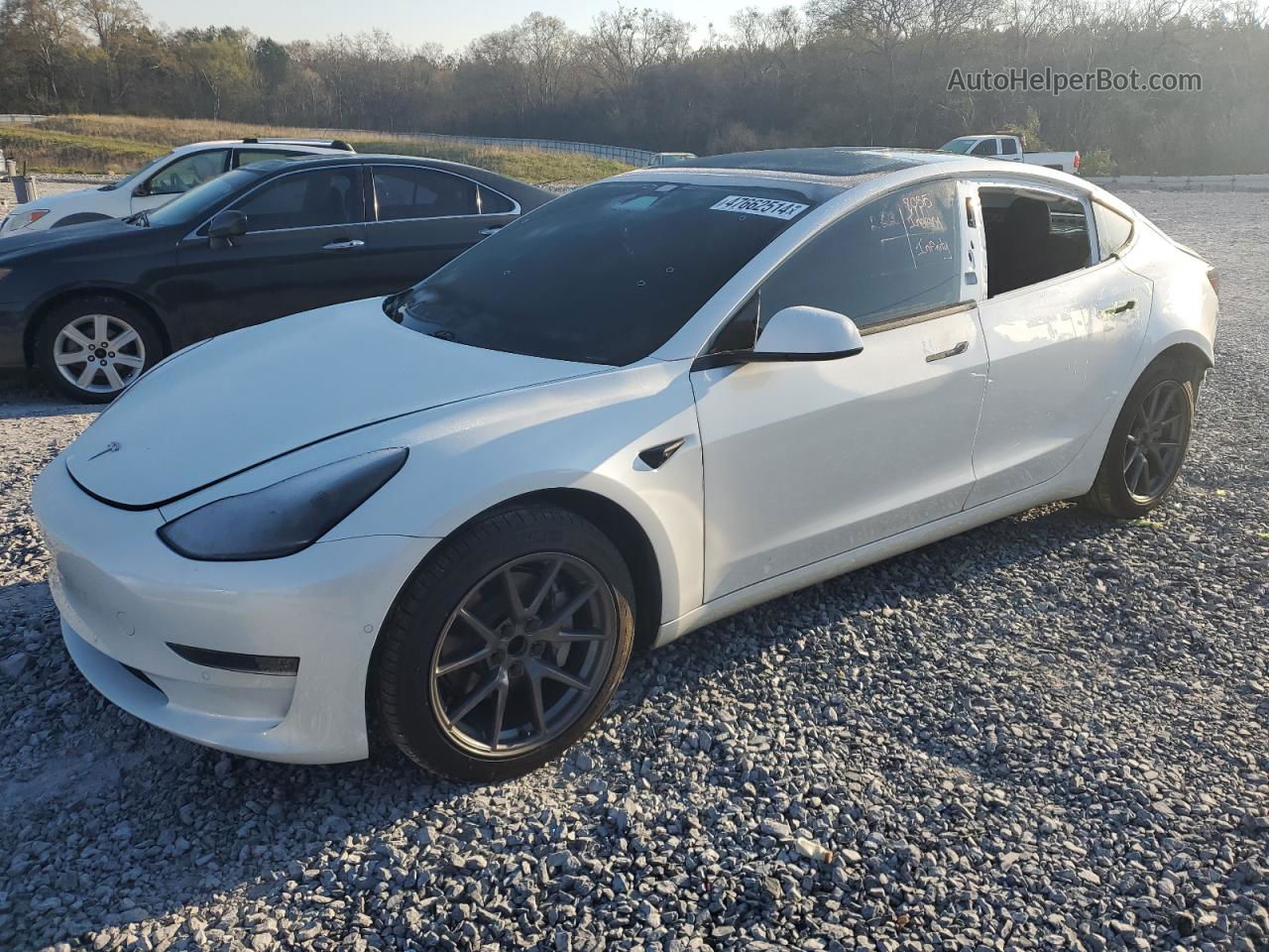 2021 Tesla Model 3  White vin: 5YJ3E1EA6MF048552