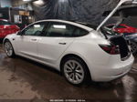 2021 Tesla Model 3 Standard Range Plus Rear-wheel Drive Белый vin: 5YJ3E1EA6MF849174