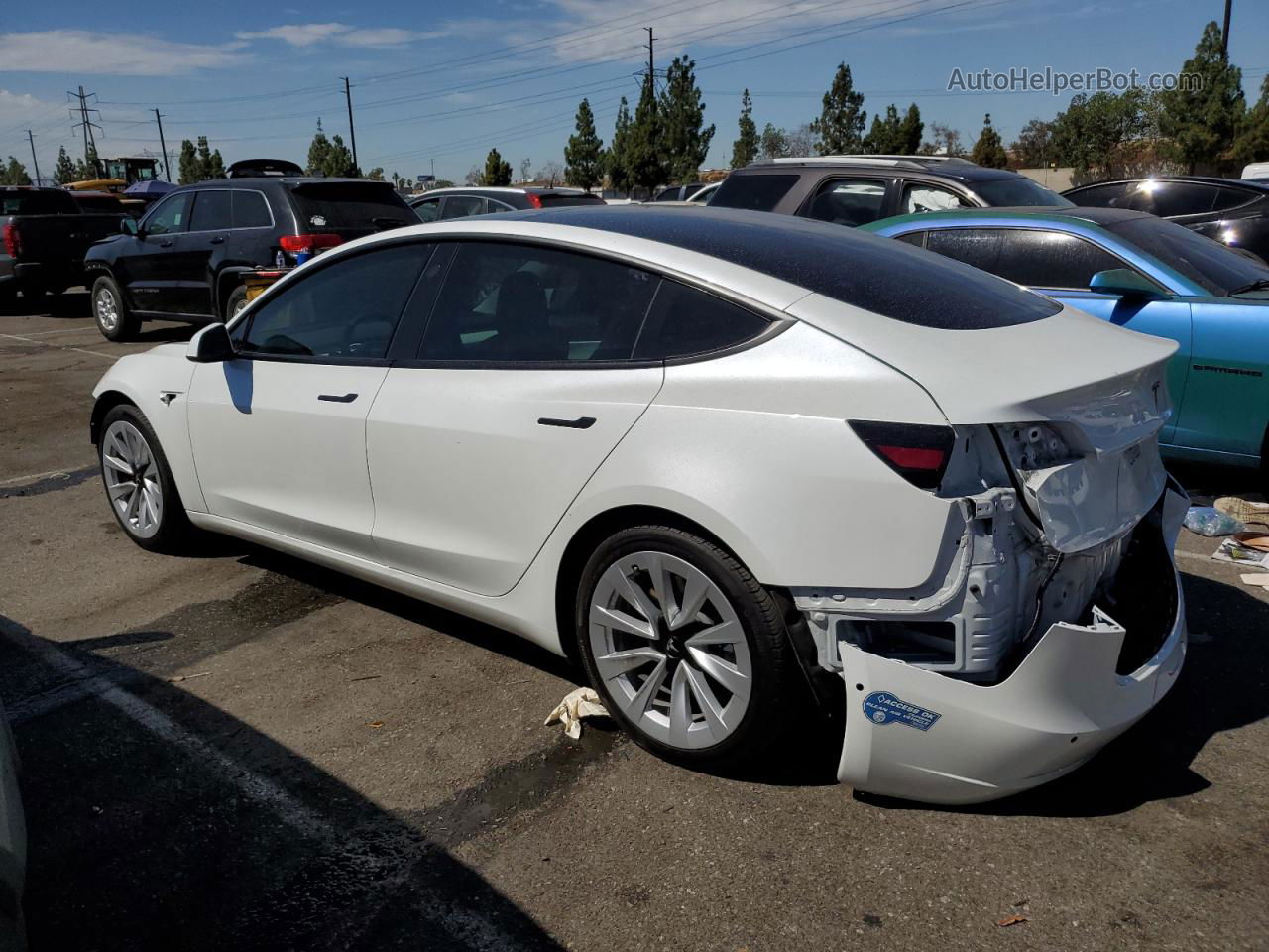 2021 Tesla Model 3  White vin: 5YJ3E1EA6MF870042