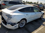 2021 Tesla Model 3  White vin: 5YJ3E1EA6MF870042