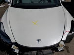 2021 Tesla Model 3  White vin: 5YJ3E1EA6MF870042