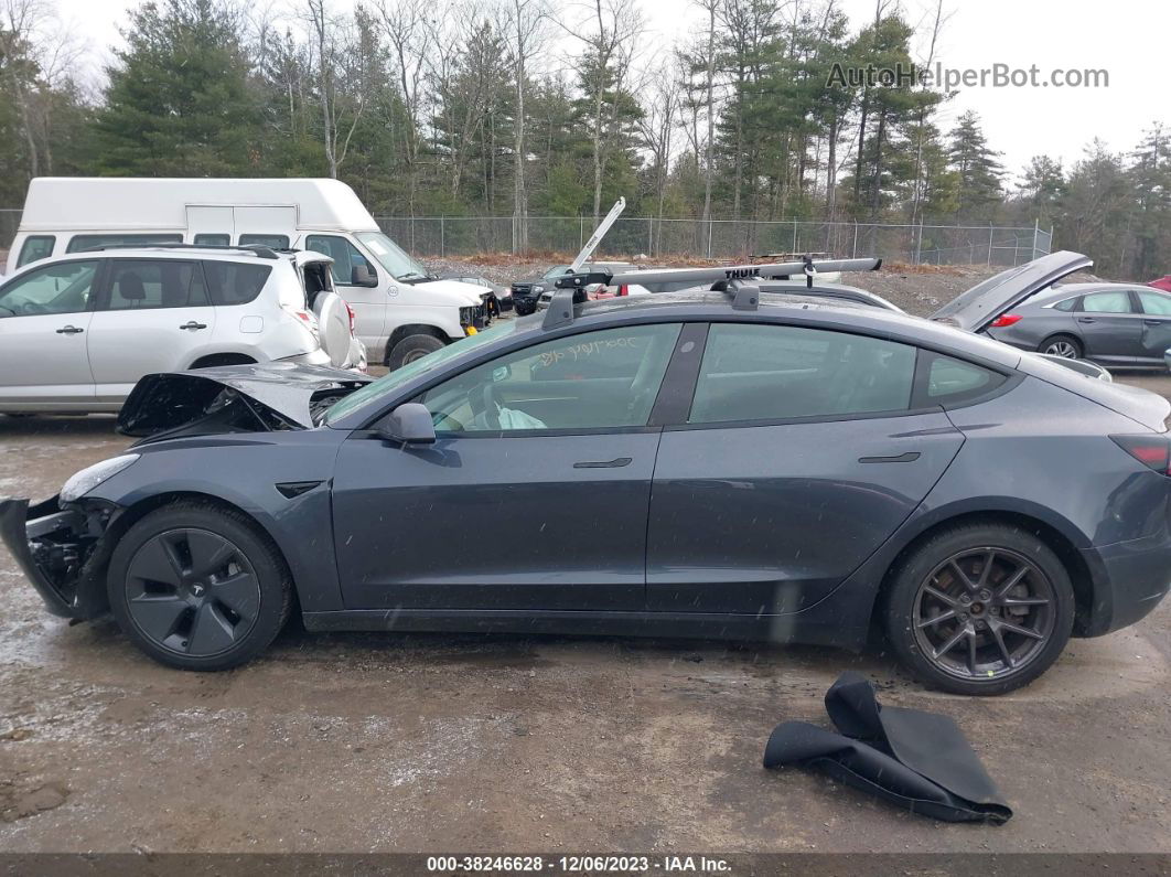 2021 Tesla Model 3 Standard Range Plus Rear-wheel Drive Gray vin: 5YJ3E1EA6MF985398