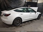 2021 Tesla Model 3 Standard Range Plus Rear-wheel Drive White vin: 5YJ3E1EA6MF987491